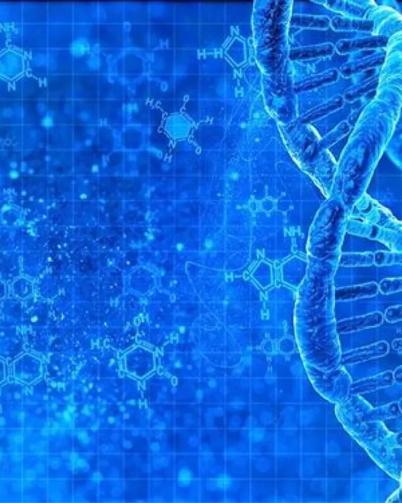 CenturyLink Brand Voice: The Rise And Rise Of Corporate DNA